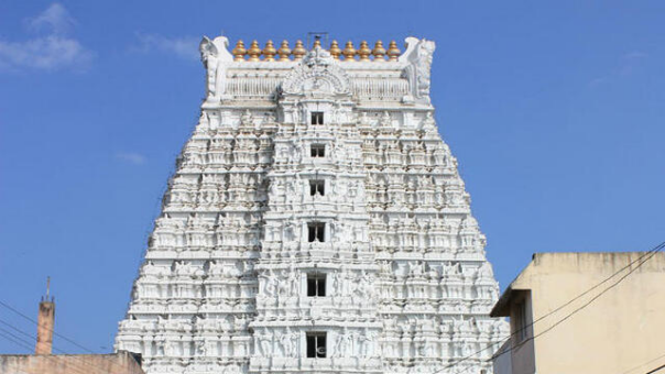 Govindarajan Sway Temple. Tirupati Darshan Cabs .cabsrental.in