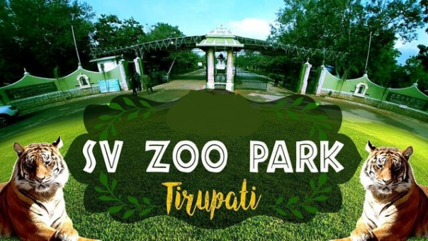 S.V.Zoological Park. Tirupati Darshan Cabs.cabsrental.in