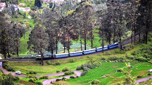 Ooty Toy Train 